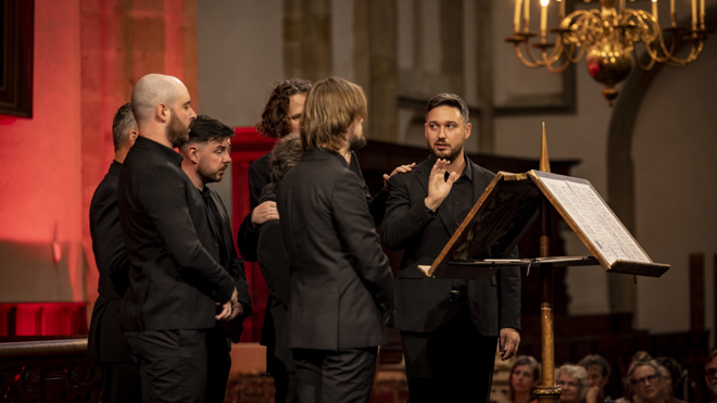 202536. Cappella Pratensis (Fomu25 © Foppe Schut Pers Fs134981)